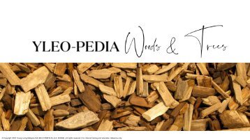 YLEO-PEDIA_Woods & Trees