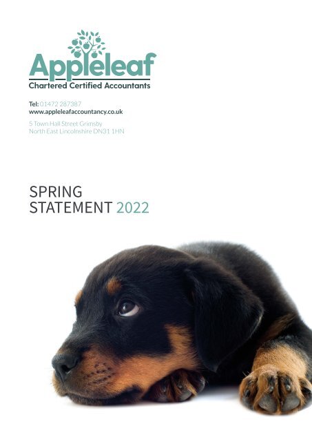 Spring Statement 2022