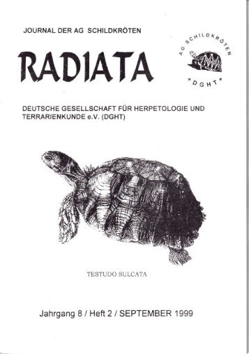 Radiata 8 (2)