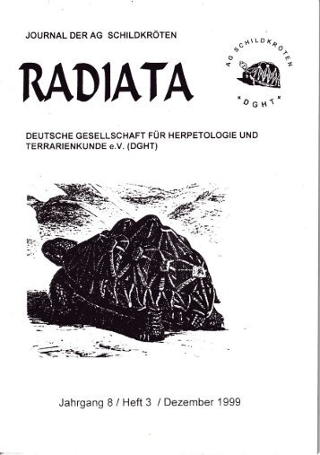 Radiata 8 (3)