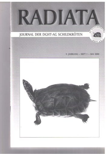 Radiata 9 (1)