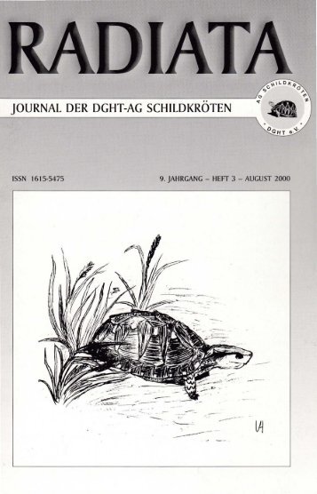 Radiata 9 (3)