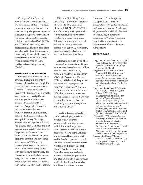 Septoria and Stagonospora Diseases of Cereals - CIMMYT ...