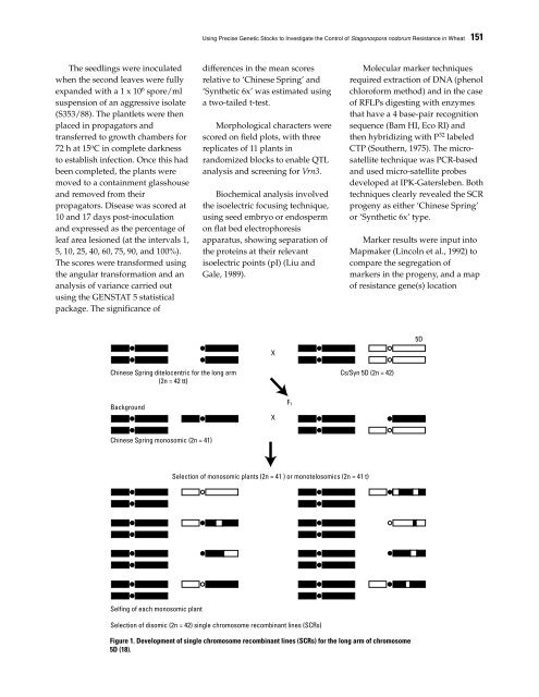 Septoria and Stagonospora Diseases of Cereals - CIMMYT ...