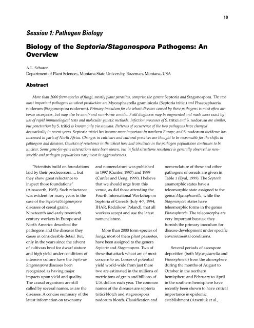 Septoria and Stagonospora Diseases of Cereals - CIMMYT ...