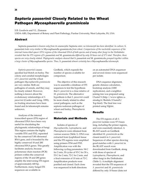 Septoria and Stagonospora Diseases of Cereals - CIMMYT ...