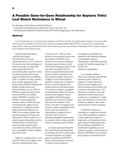 Septoria and Stagonospora Diseases of Cereals - CIMMYT ...