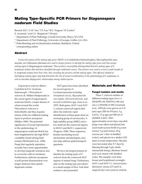 Septoria and Stagonospora Diseases of Cereals - CIMMYT ...