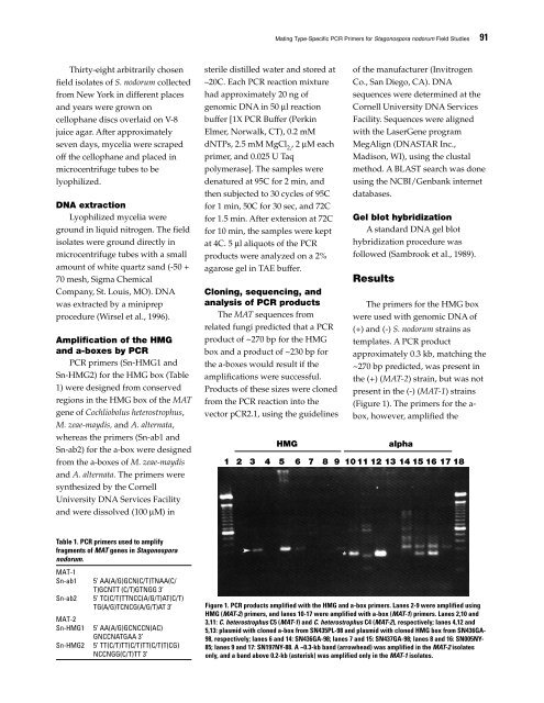 Septoria and Stagonospora Diseases of Cereals - CIMMYT ...