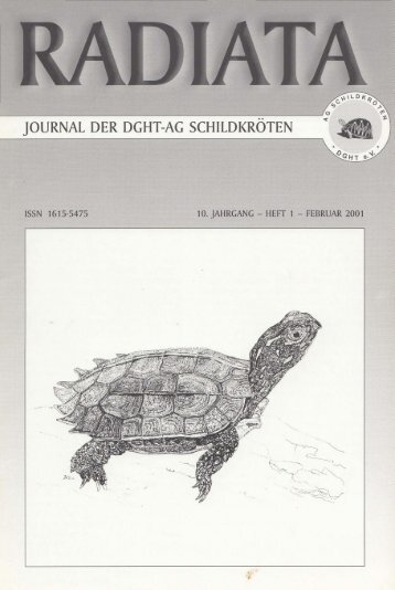 Radiata 10 (1)