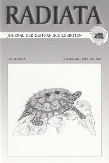 Radiata 10 (2)