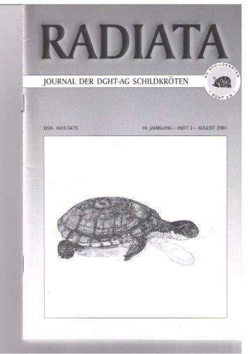 Radiata 10 (3)