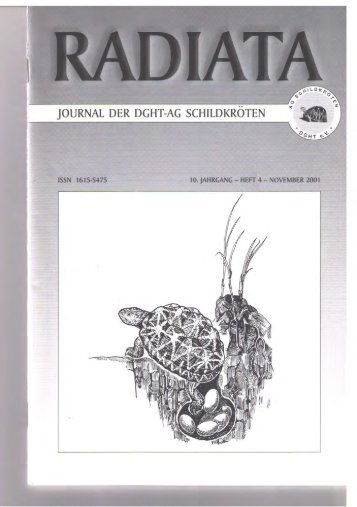 Radiata 10 (4)