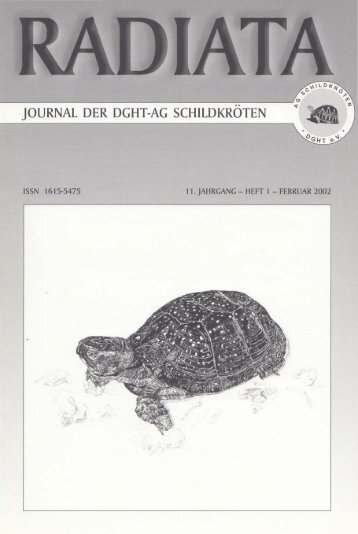Radiata 11 (1)