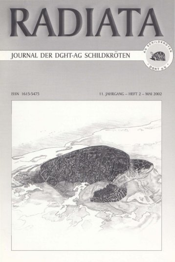 Radiata 11 (2)