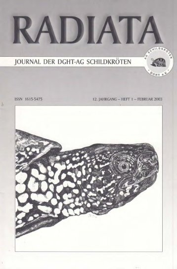 Radiata 12 (1)