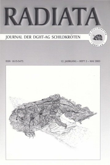 Radiata 12 (2)