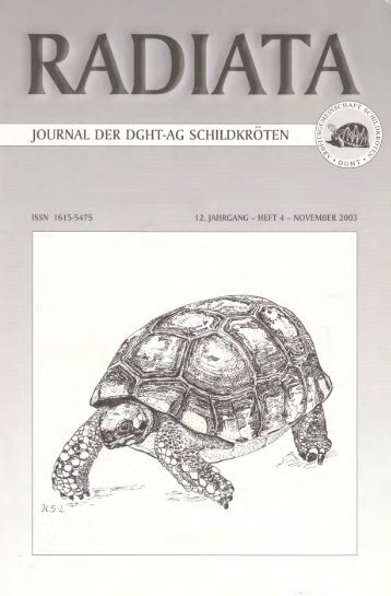 Radiata 12 (4)