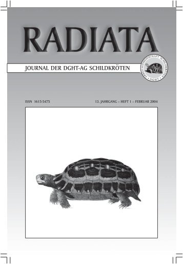 Radiata 13 (1)