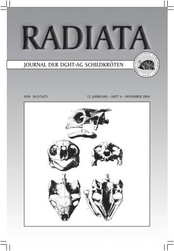 Radiata 13 (4)