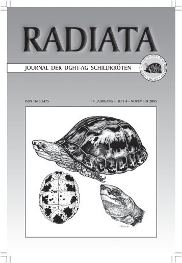 Radiata2005(4)