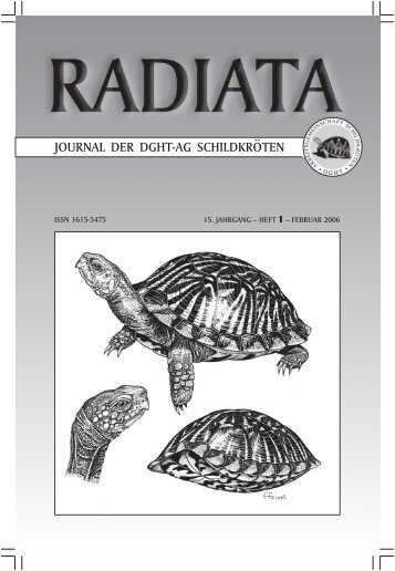 Radiata 15 (1)