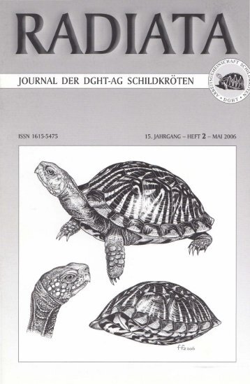 Radiata 15 (2)