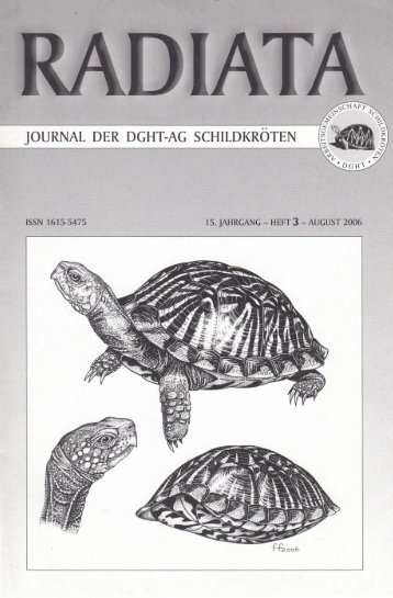 Radiata 15 (3)