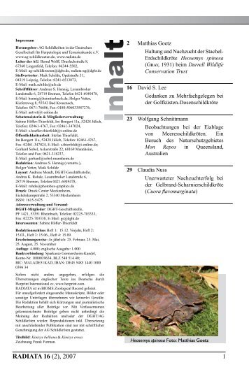 Radiata2007(2)