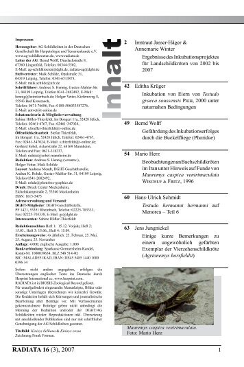 Radiata2007(3)