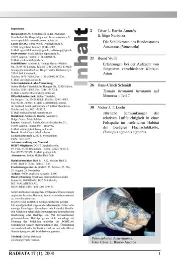 Radiata2008(1)