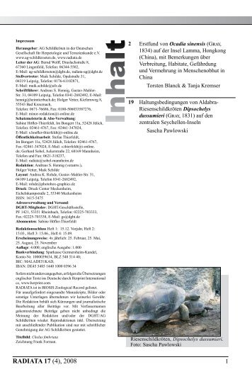 Radiata2008(4)