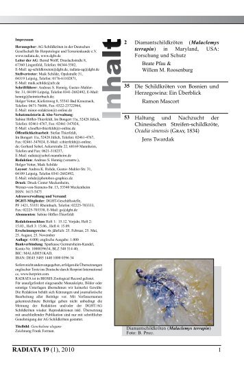 Radiata2010(1)