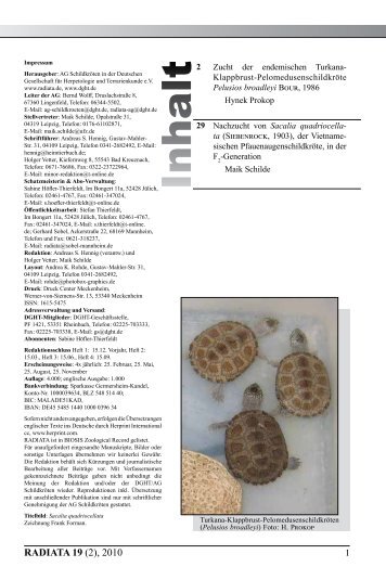 Radiata2010(2)