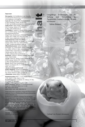 Radiata2011(3)