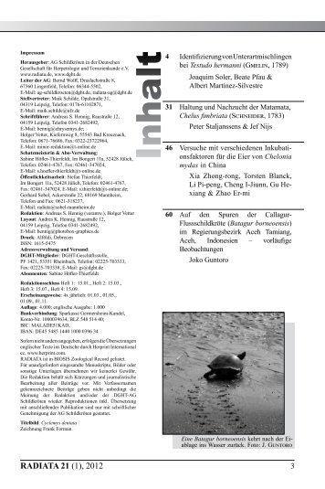 Radiata2012(1)