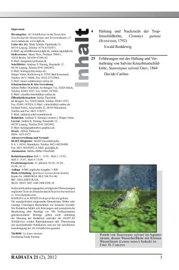Radiata2012(2)