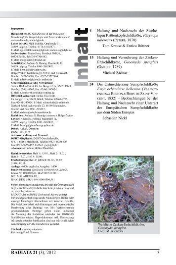 Radiata2012(3)