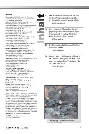 Radiata2013(2)