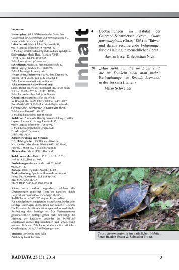 Radiata2014(3)