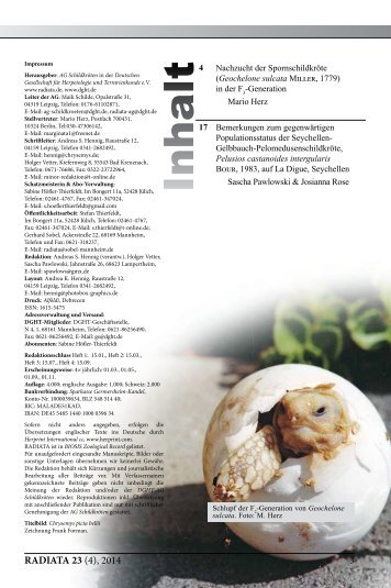 Radiata2014(4)