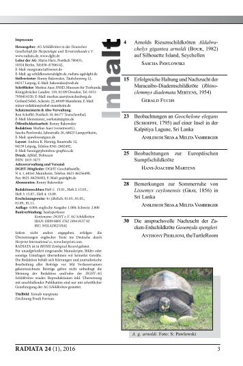 Radiata2016(1)