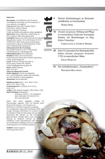 Radiata2016(2)