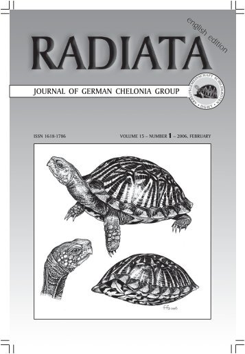 Radiata2006(1)-e