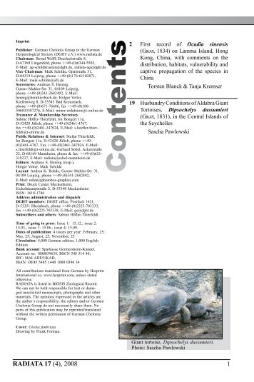 Radiata2008(4)e