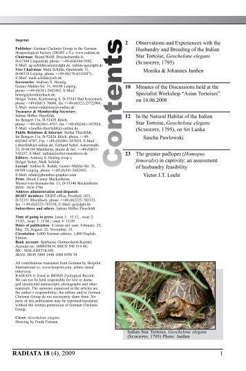 Radiata2009(4)e