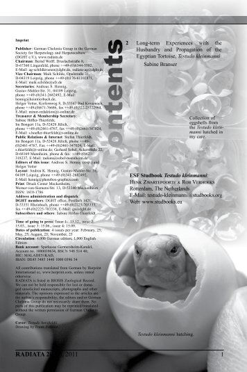 Radiata2011(3)e