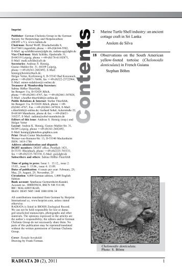 Radiata2011(2)e