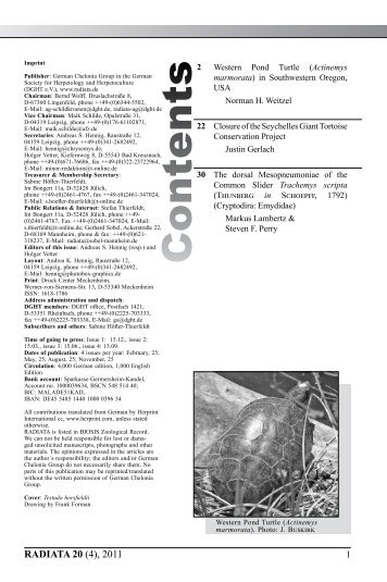 Radiata2011(4)e