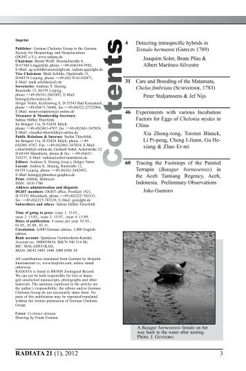 Radiata2012(1)e